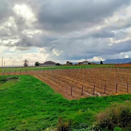 De Briante Saint-Lager